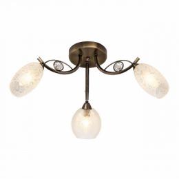 Изображение продукта Потолочная люстра Silver Light Anjou 